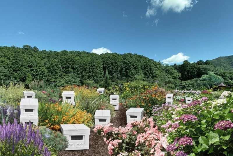 bee